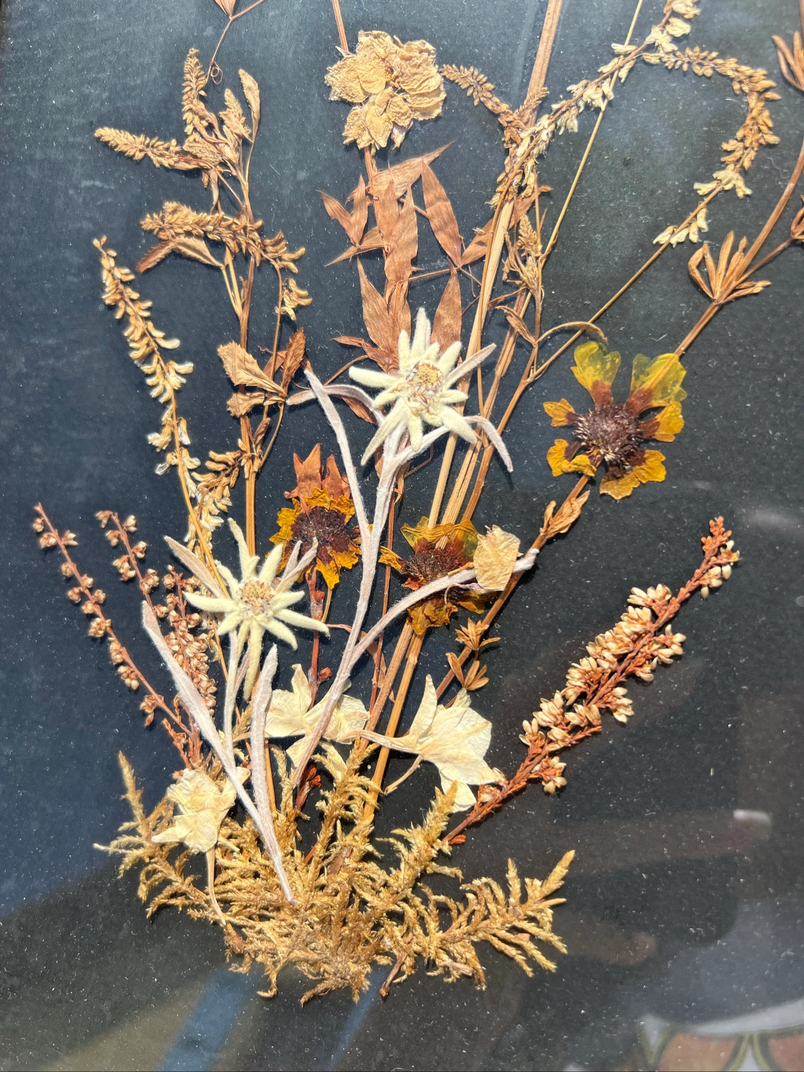 💮 Kadar kruidenboeket gedroogde bloemen Edelweiss vintage hout decoratieve muurkunst natuurlijk 56x26 cm – photo 5